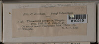 Image Associated With the Occurence